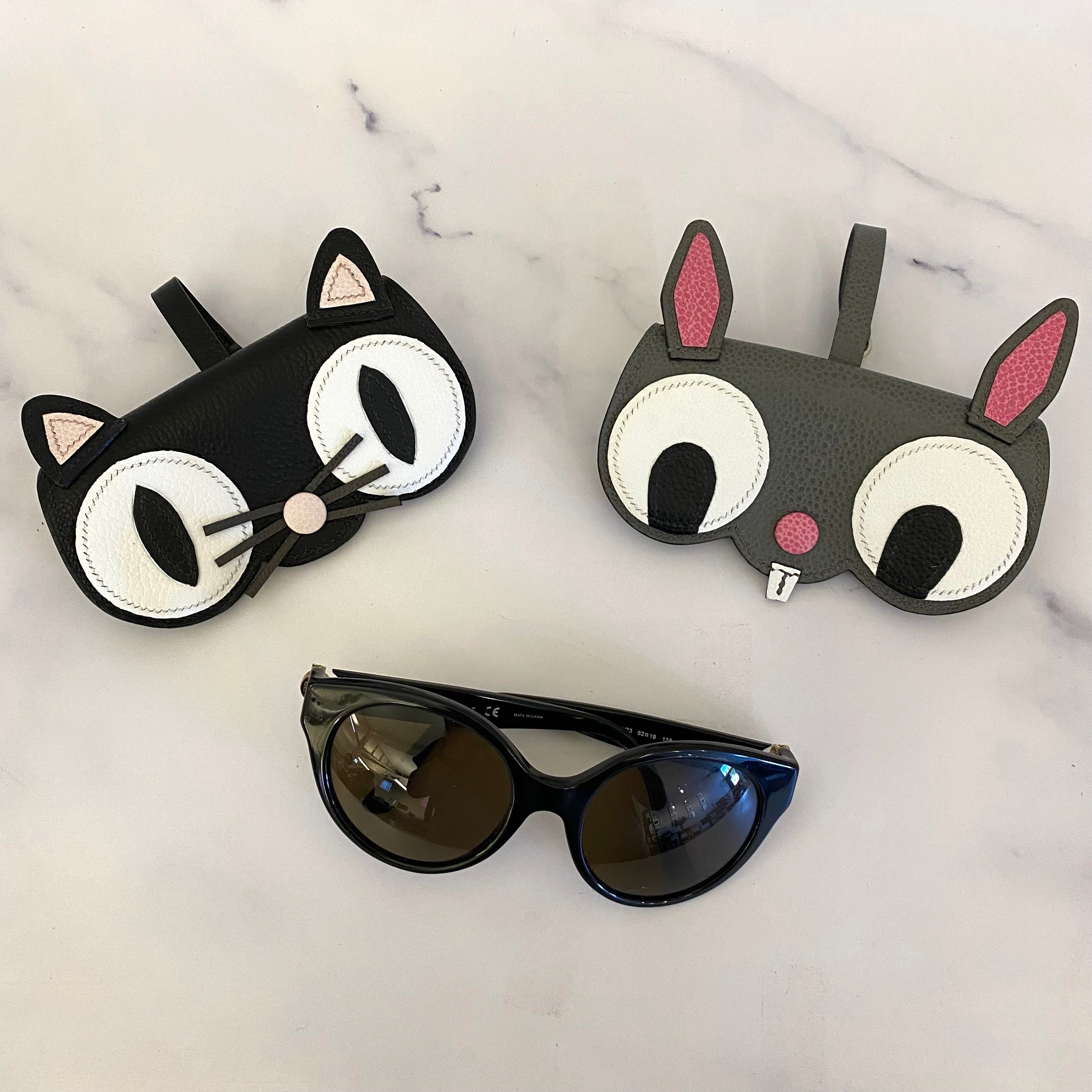 Glasses Clip-On Case